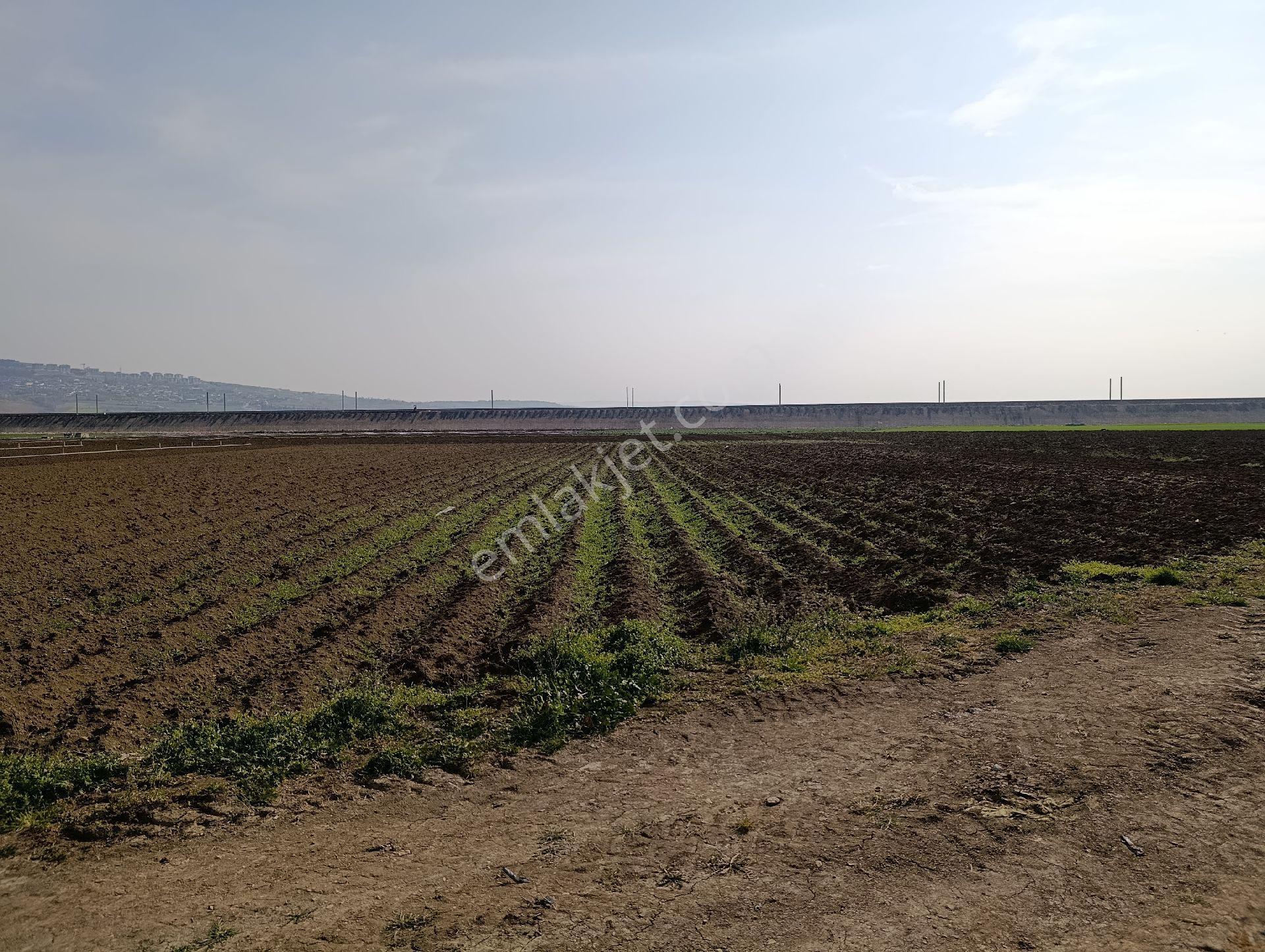 Bursa Yenişehir Merkez Çayır Mah. 1737m² Tek Tapu Yola Cepe