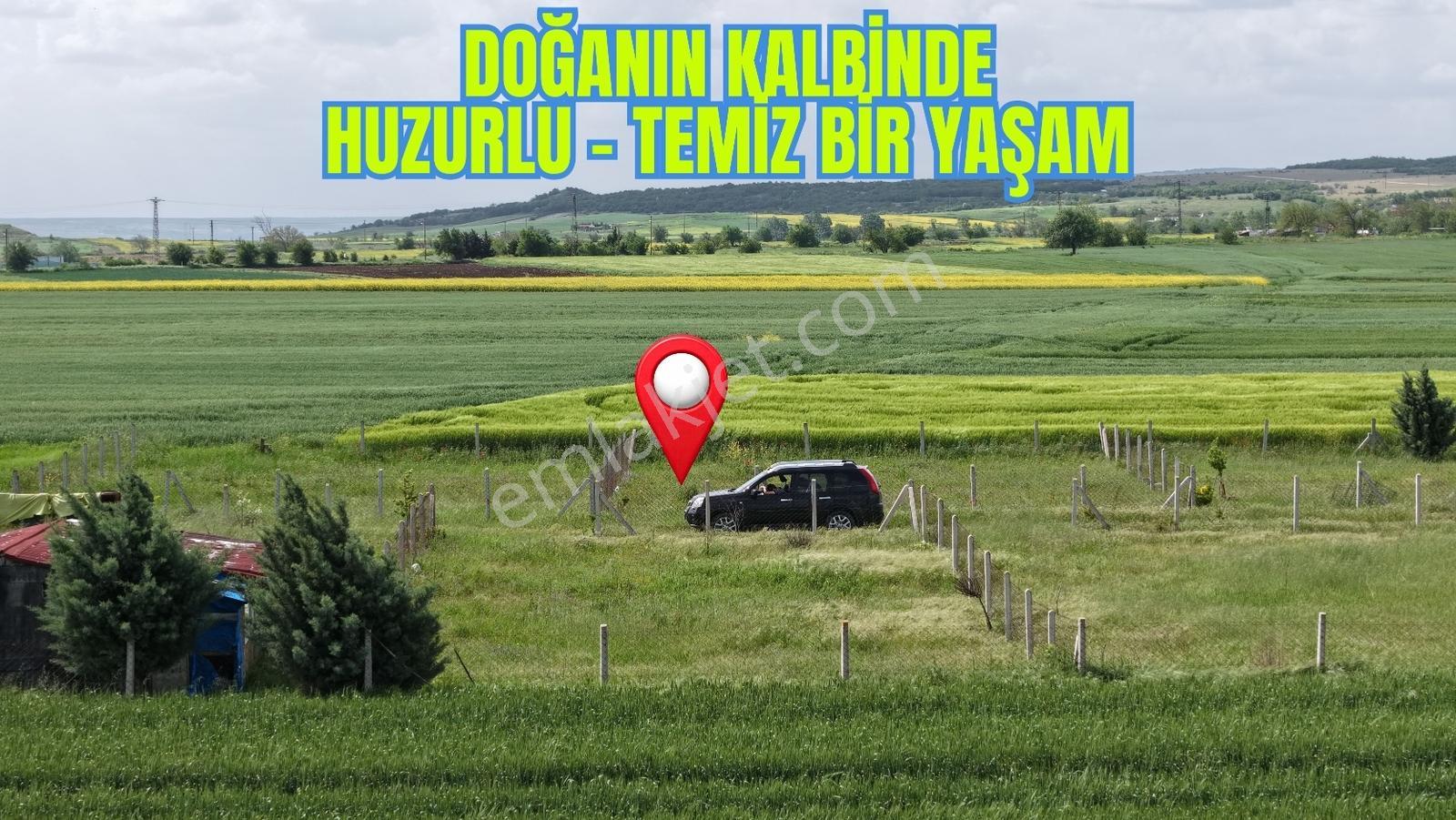 Doğanın Kalbinde Satılık Huzur Bahçesi - Görsel 3
