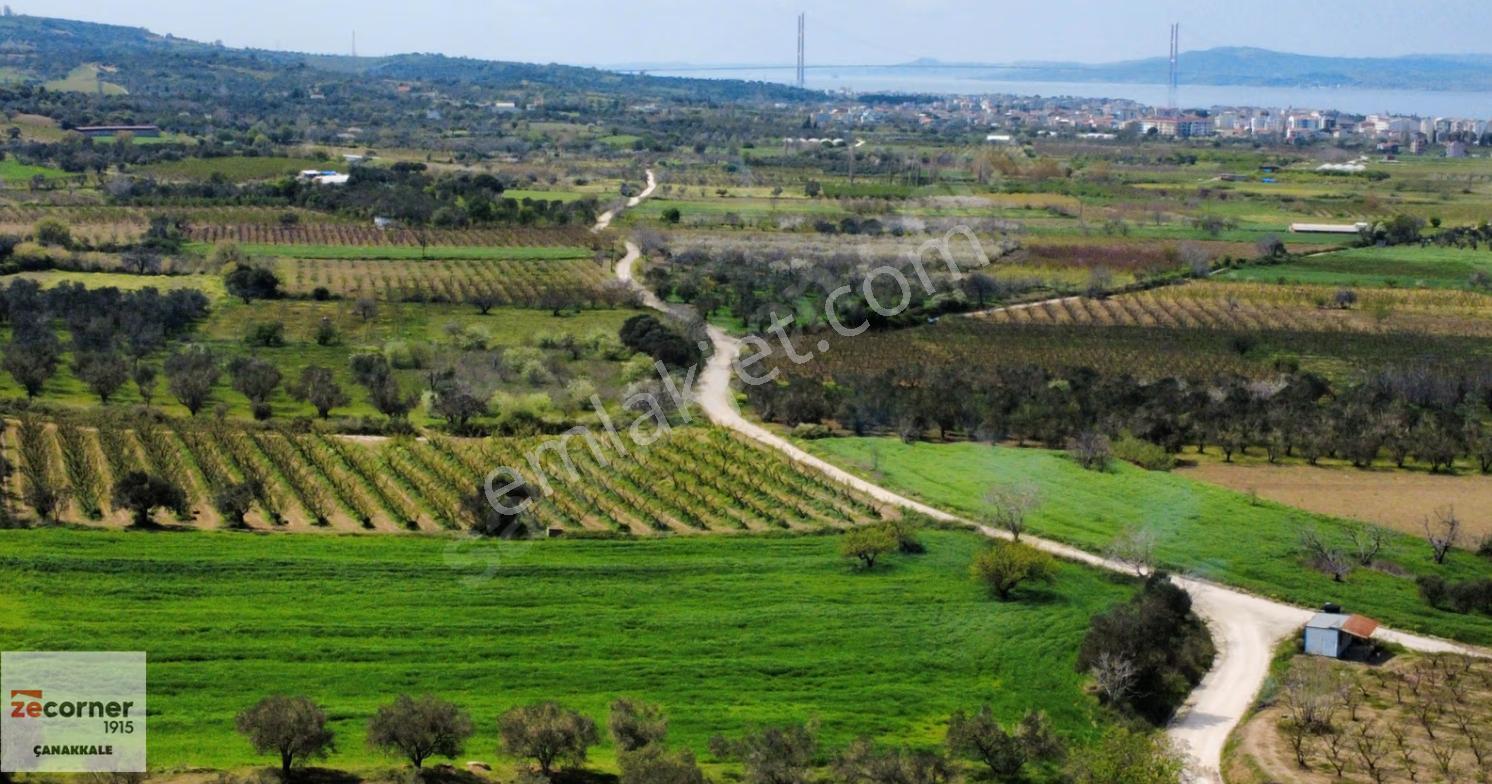 Çanakkale Lapseki Boğaz Manzaralı Yola Cepheli Satılık Tarla - Görsel 28