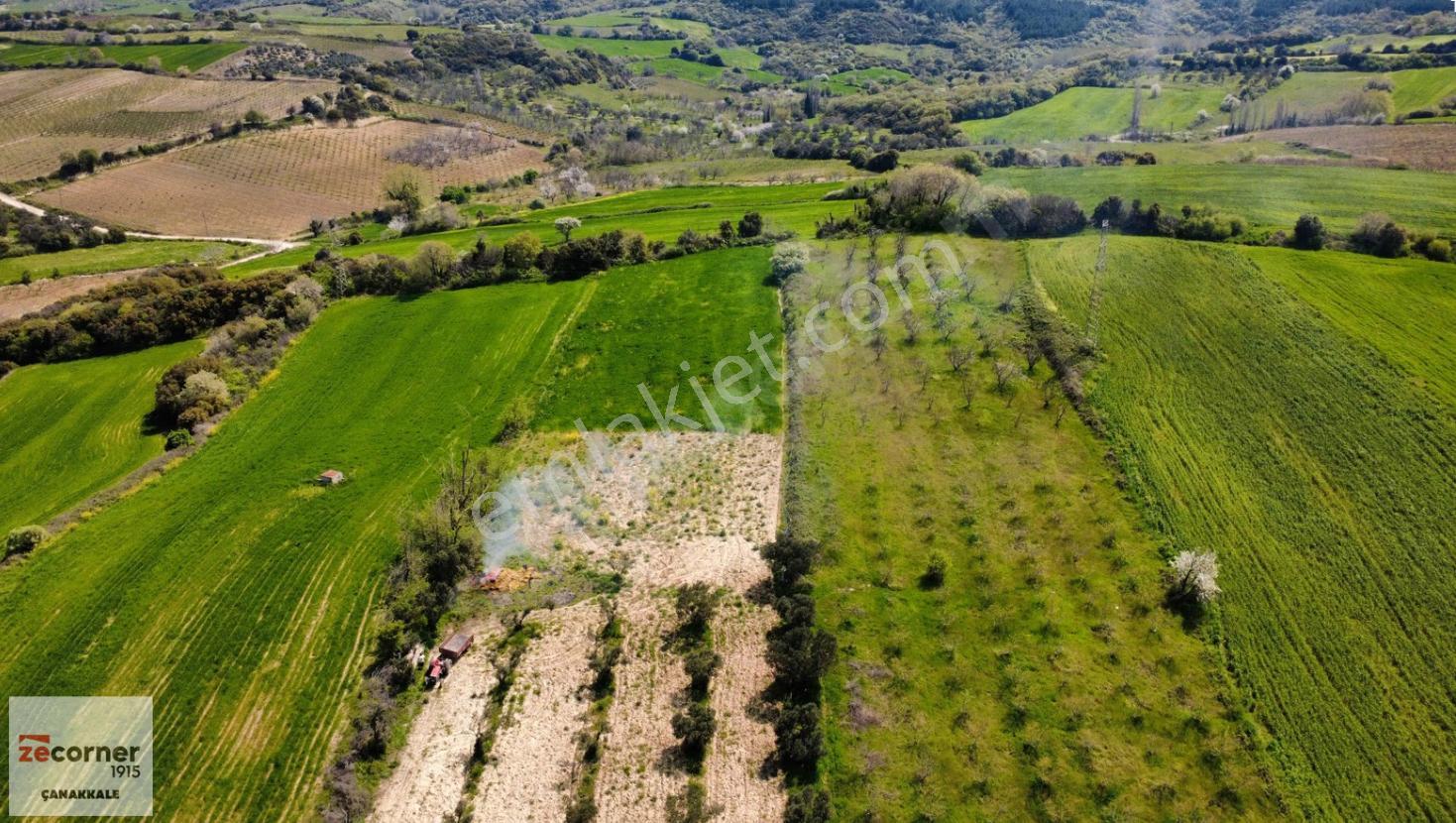 Çanakkale Lapseki Boğaz Manzaralı Yola Cepheli Satılık Tarla - Görsel 13