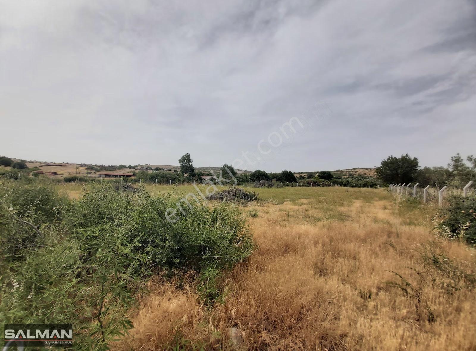 Bergama Doğancı Köyü'nde Evlere Bitişik Satılık Tarla - Görsel 7