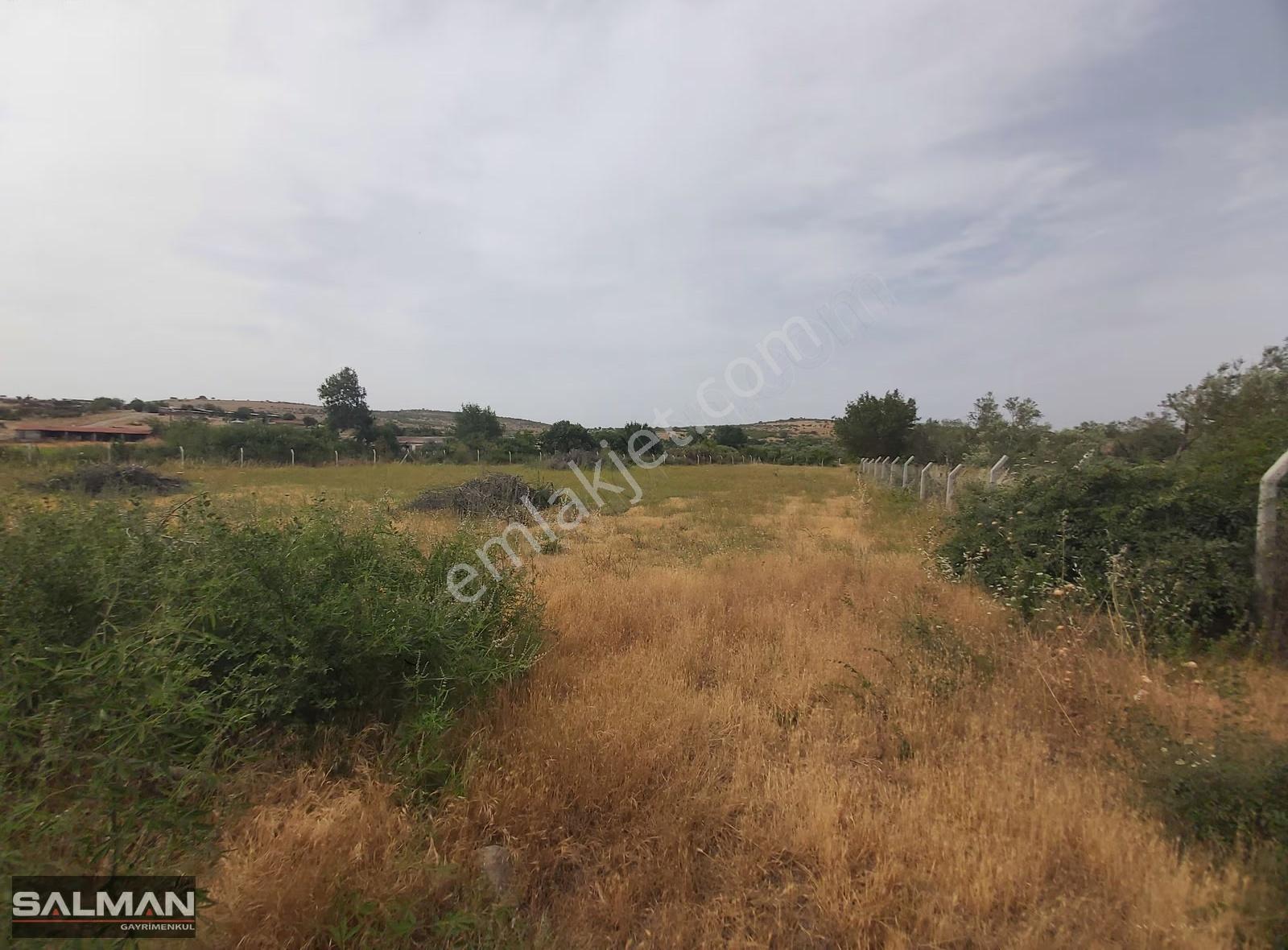 Bergama Doğancı Köyü'nde Evlere Bitişik Satılık Tarla - Görsel 8