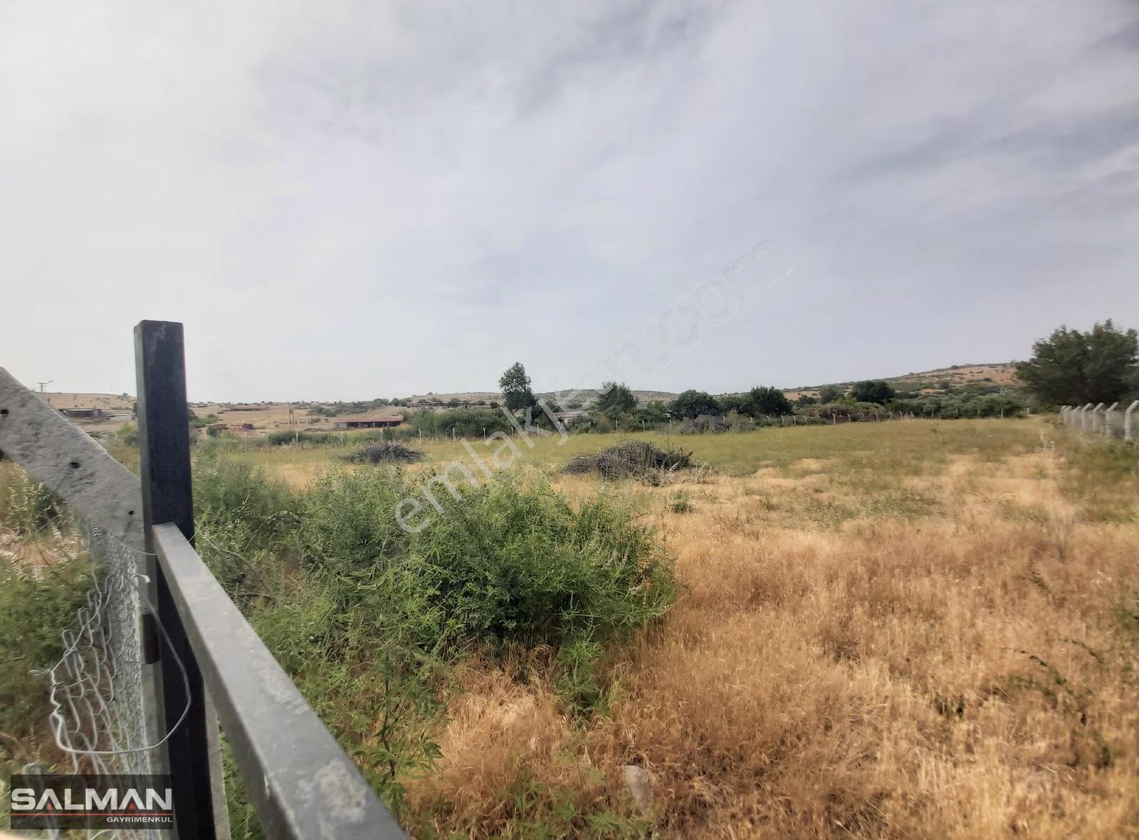 Bergama Doğancı Köyü'nde Evlere Bitişik Satılık Tarla - Görsel 3