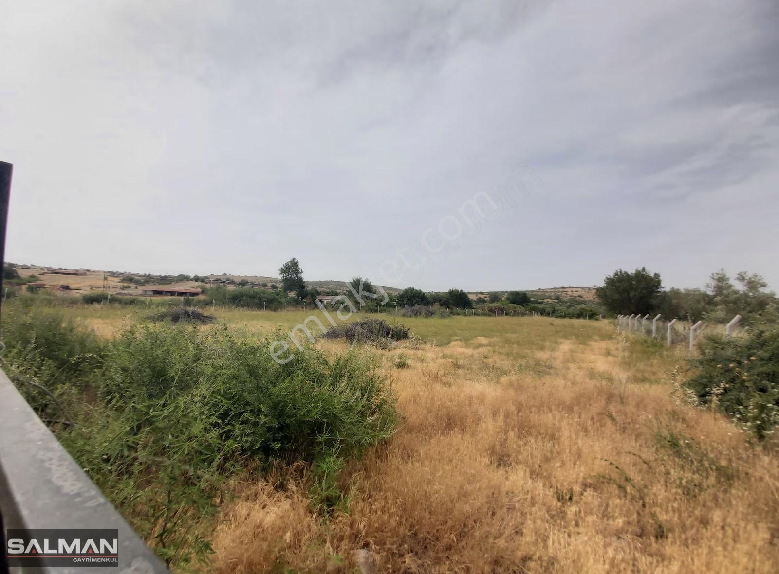 Bergama Doğancı Köyü'nde Evlere Bitişik Satılık Tarla - Görsel 2