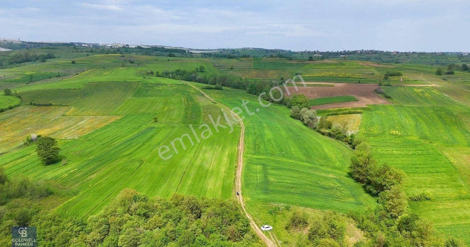 Kandıra Akçakese Satılık 1306 M2 Yatırımlık Arsa