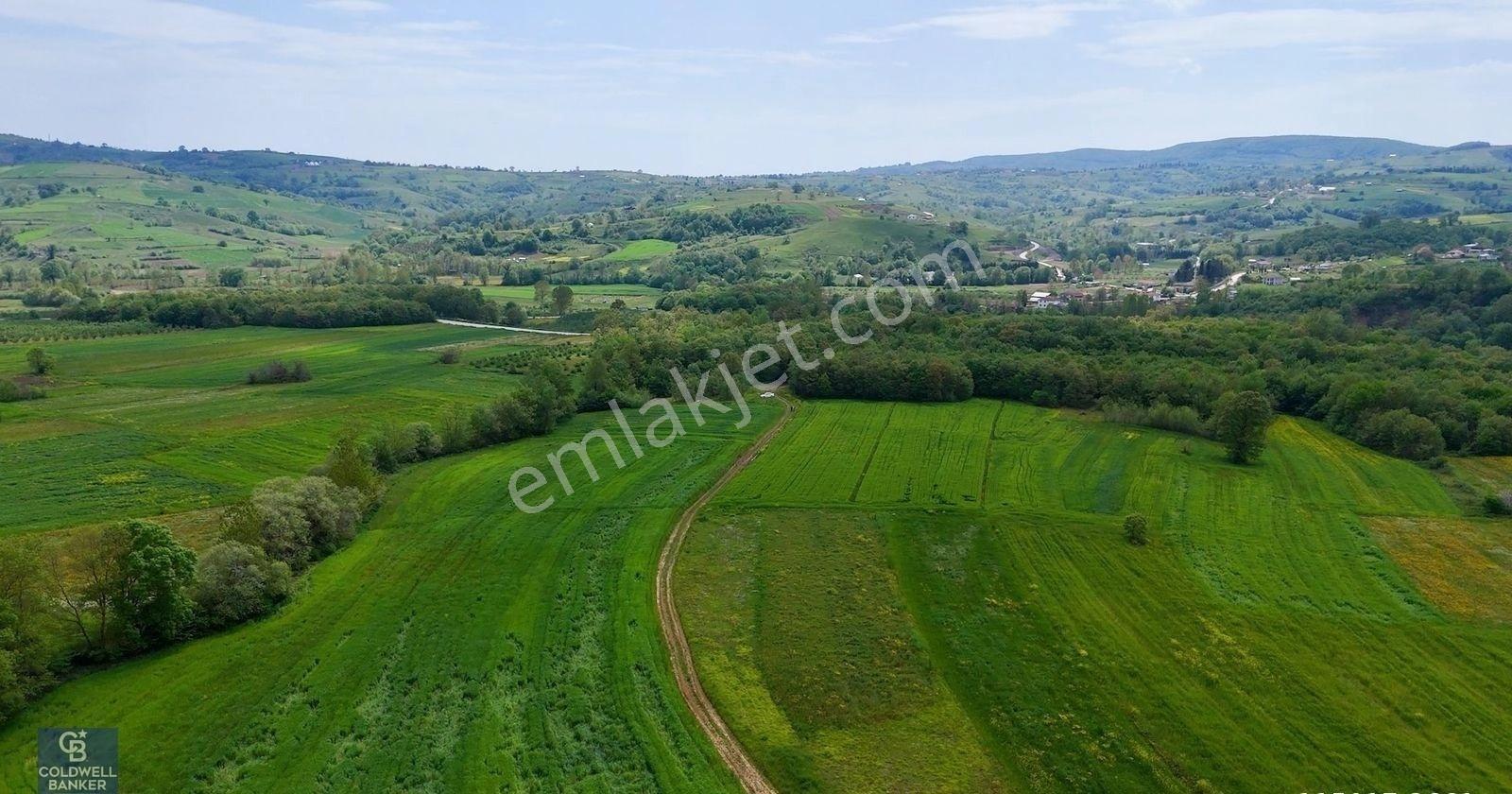 Kandıra Akçakese Satılık 1306 M2 Yatırımlık Arsa - Görsel 13