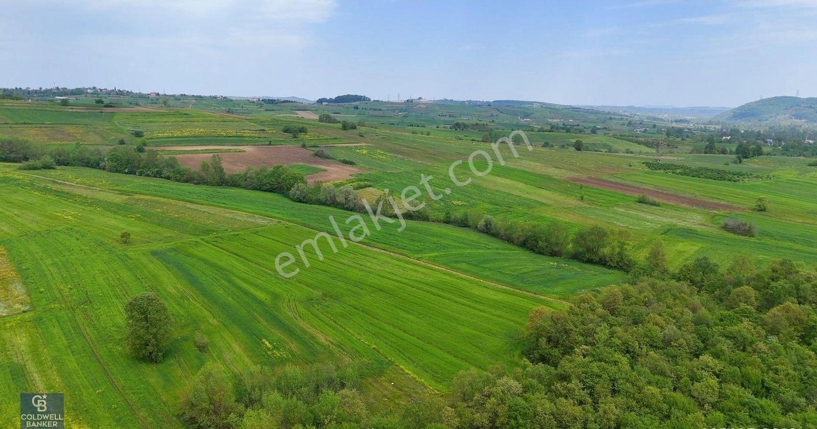 Kandıra Akçakese Satılık 1306 M2 Yatırımlık Arsa - Görsel 11