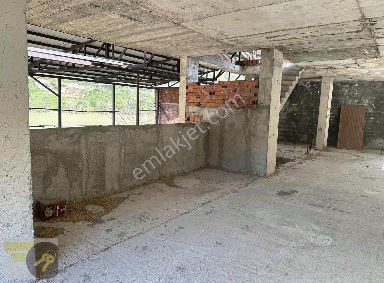 Bölgede Tek Göl Kenarı Uzungöl Yola Cephe 950m2 Kullanım Alanı - Görsel 3