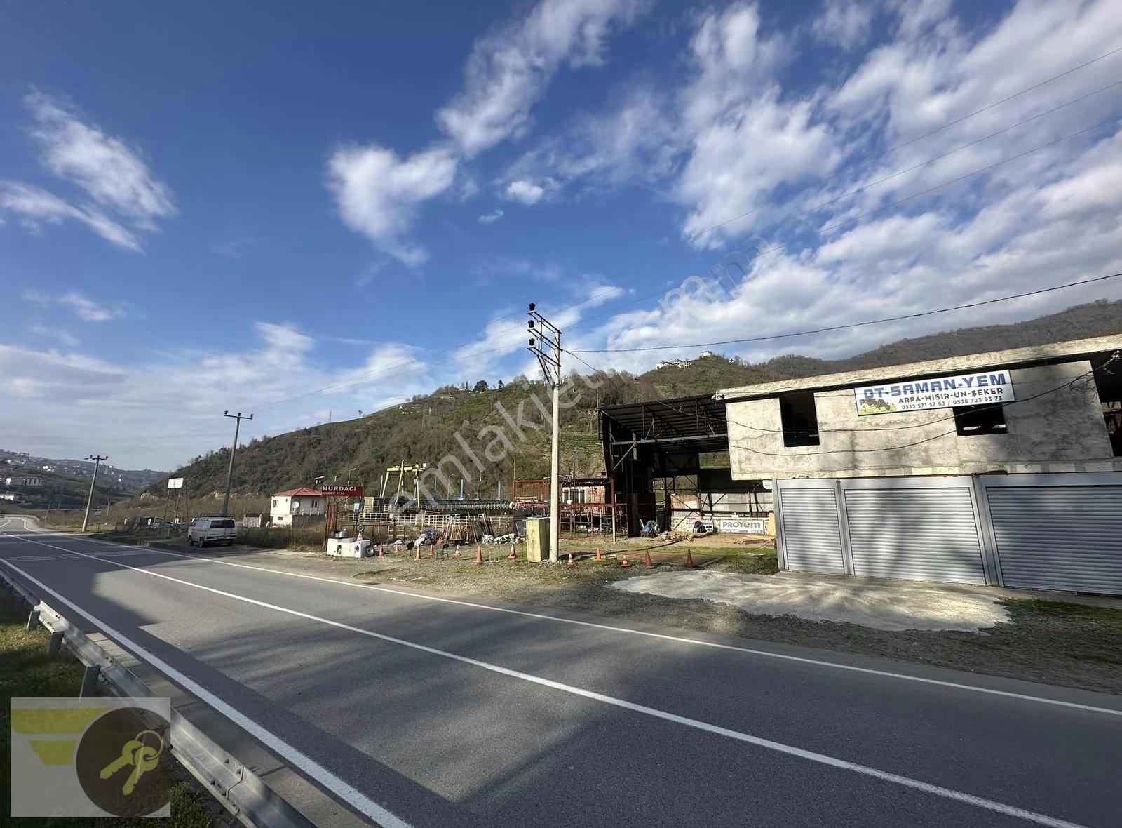 Bölgede Tek Göl Kenarı Uzungöl Yola Cephe 950m2 Kullanım Alanı - Görsel 2
