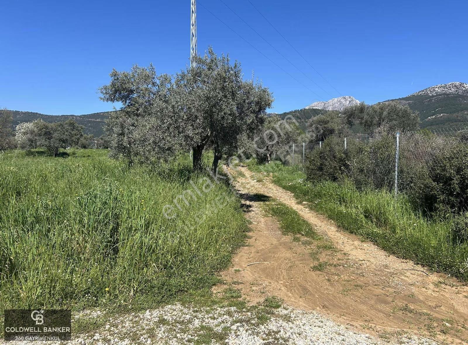 Kemalpaşa Gökyaka'da Müstakil Parsel 7766 M2 Satılık Tarla/takas - Görsel 5