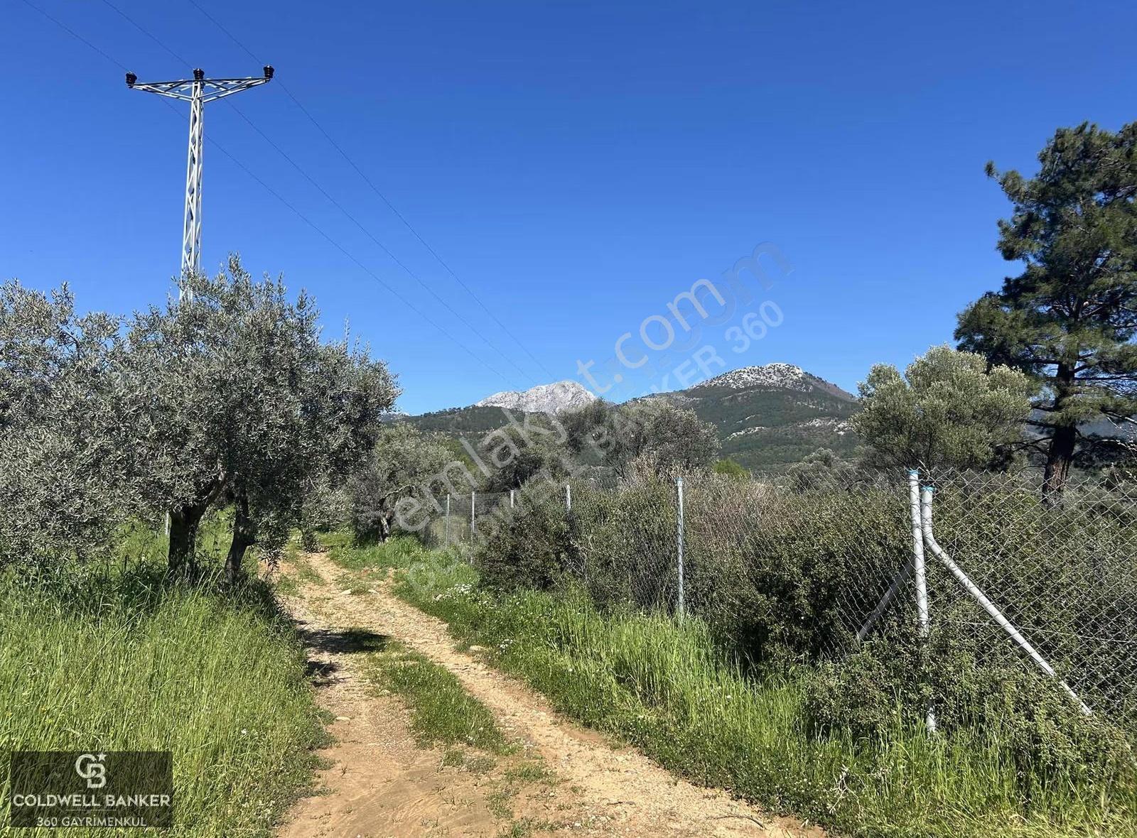 Kemalpaşa Gökyaka'da Müstakil Parsel 7766 M2 Satılık Tarla/takas