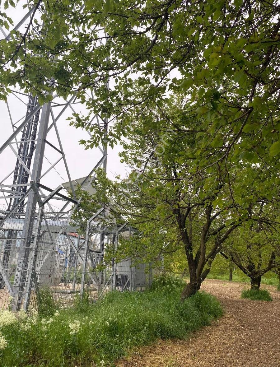 Bahçe Başında Acil Satılık 11.245 M2 Bahçe - Görsel 12