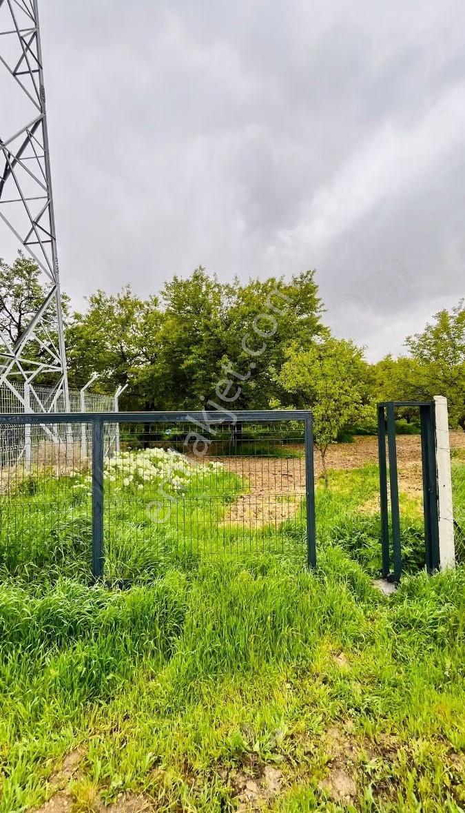 Bahçe Başında Acil Satılık 11.245 M2 Bahçe - Görsel 14