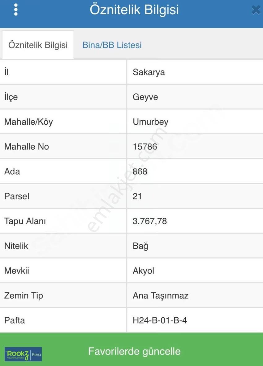 Geyve Umurbey'de 3767 M2 Muhteşem Zeytin Ve Ceviz Ağaç Ekili Bağ - Görsel 6