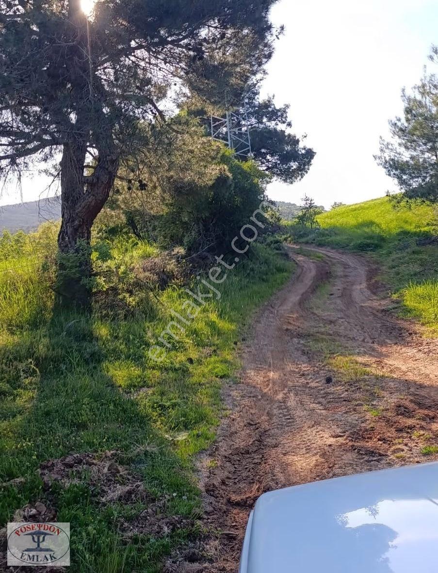 Kazdağlarının Eteğinde 8600m2 Kelepir Tarla - Görsel 5
