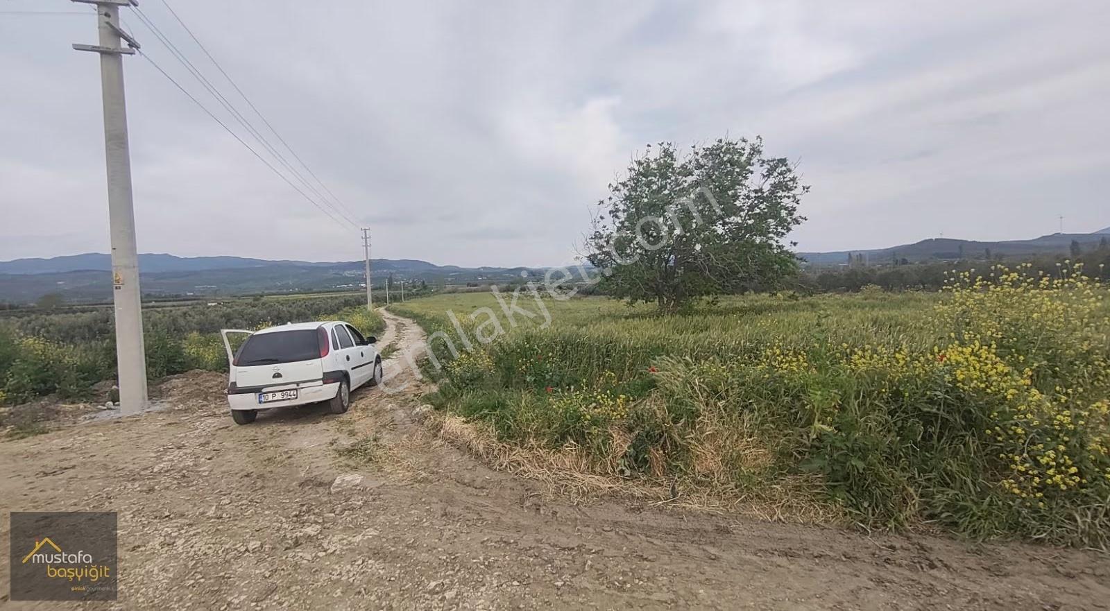 Mustafa Başyiğit Emlak'tan Hamitli Köyünde 9 Dönüm Tarla - Görsel 9