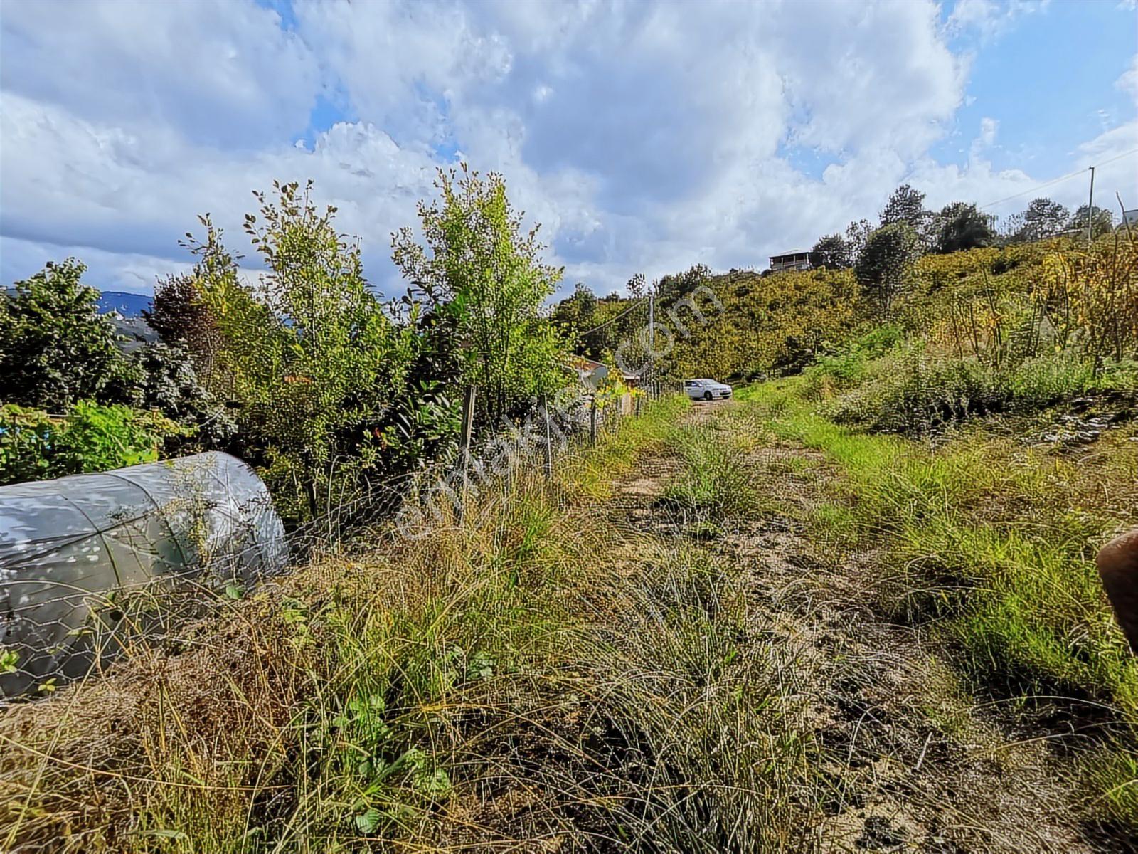 Akoluk Da Satılık Arazi Merkezi Konumda 2.854 Metre Kare - Görsel 10