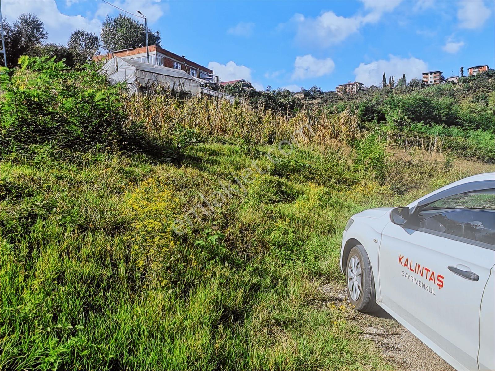 Akoluk Da Satılık Arazi Merkezi Konumda 2.854 Metre Kare - Görsel 6