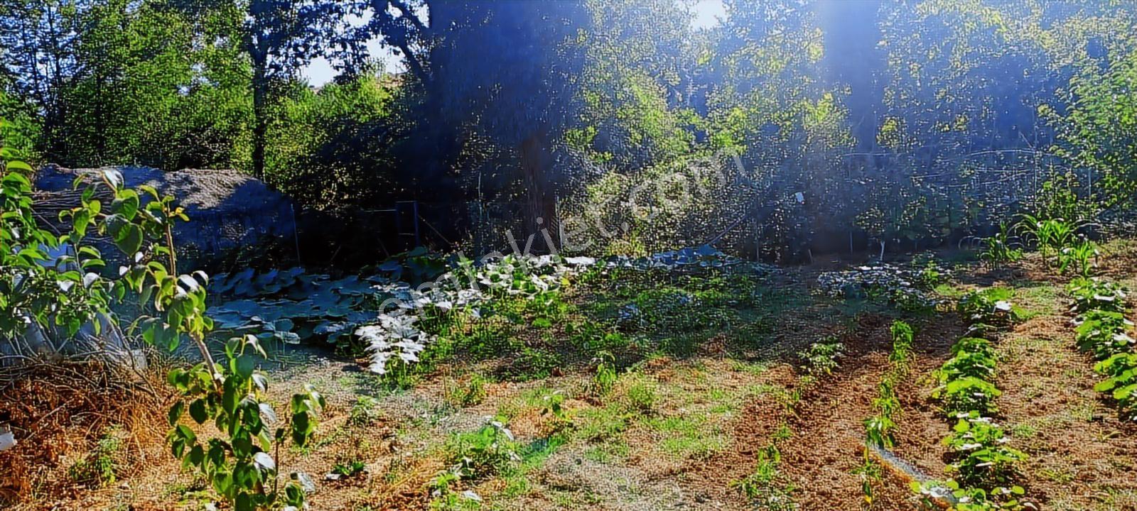 Bölgede Enucuz 834 M2 Arsada İskanlı 5+1 200 M2 Willa Hemen Tşn - Görsel 18