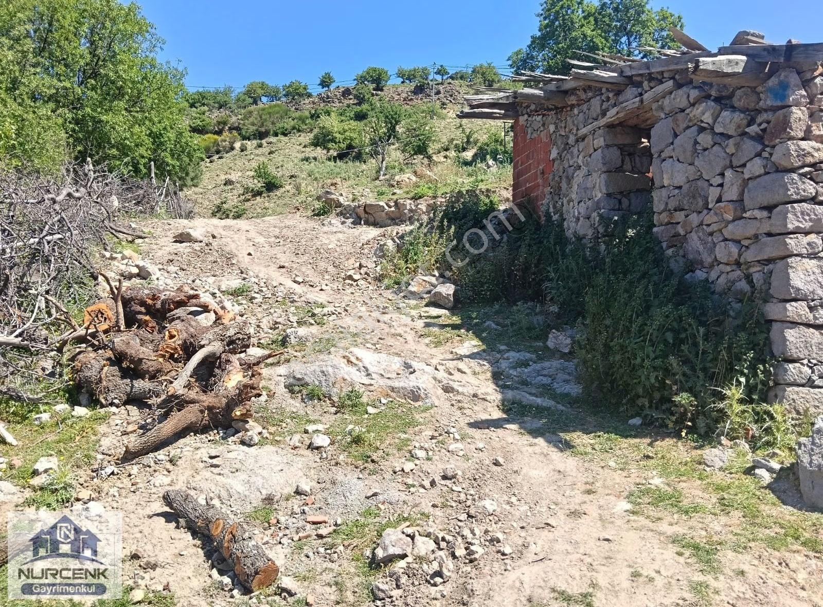 Burhaniye Yaylacık Köyünde Satılık Bahçe - Görsel 4
