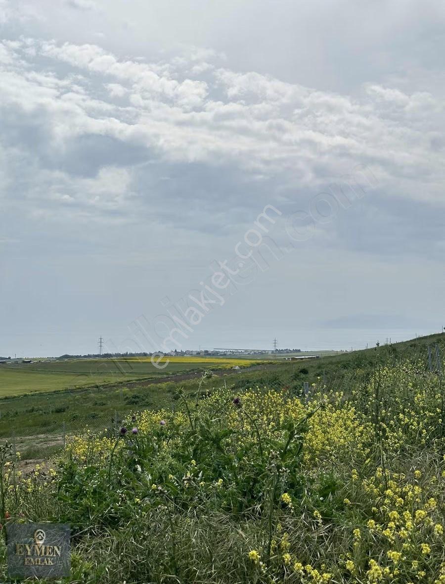 Şoook 500m2 Arsa İçinde 1+1 Konteynır Fırsat!!!! Hemen Ara - Görsel 5