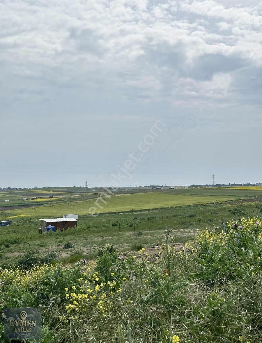 Şoook 500m2 Arsa İçinde 1+1 Konteynır Fırsat!!!! Hemen Ara - Görsel 13