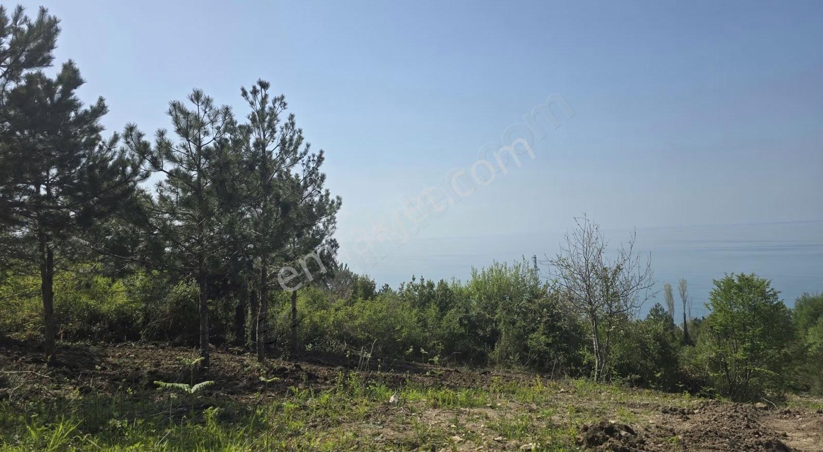 Cide İlkim Emlak'tan Full Deniz Manzarası Satılık Arsa İmarlı - Görsel 7