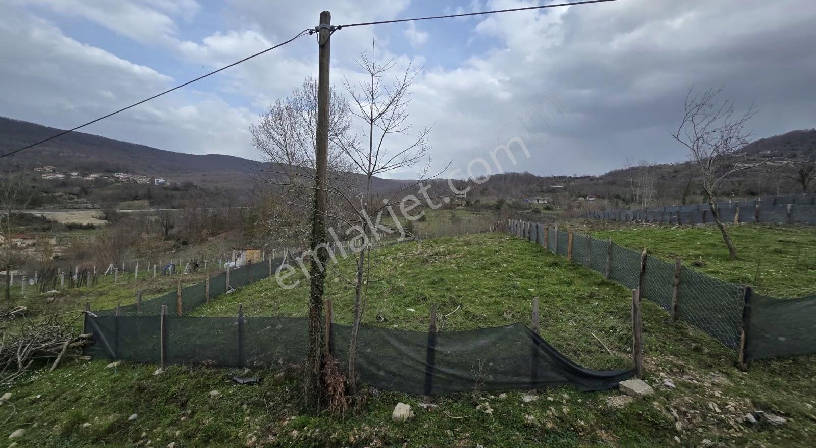 Cide İlkim Emlak'tan Konut İmarlı Satılık Arsa 700 M2 - Görsel 6