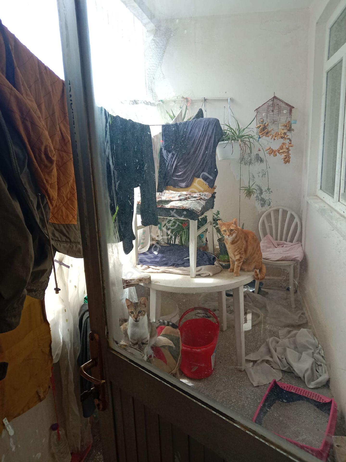 Muratpaşa Bahçelievler'de Kiralık Eşyalı Daire - Görsel 16