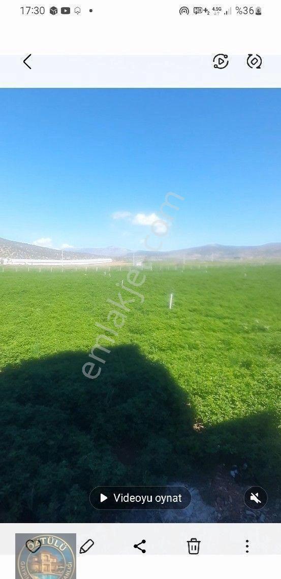 Sedikemer Doğanlar'da 8705 M2 - Görsel 8