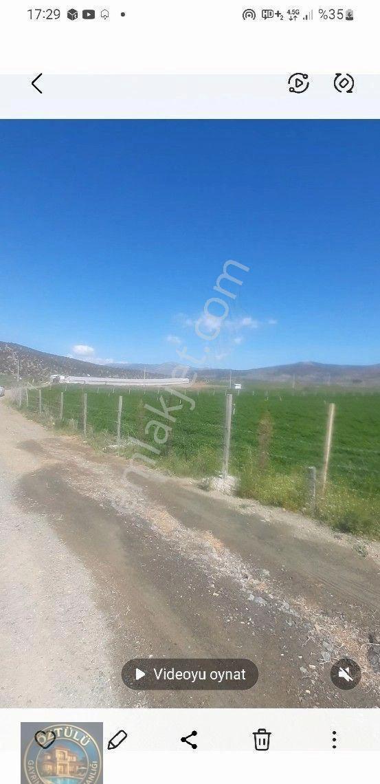 Sedikemer Doğanlar'da 8705 M2 - Görsel 2