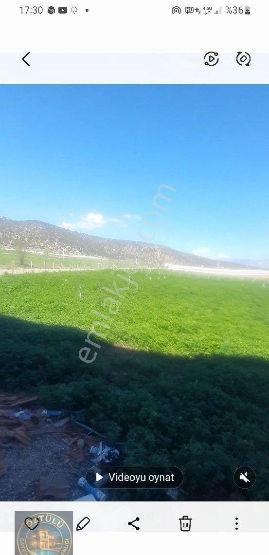 Sedikemer Doğanlar'da 8705 M2 - Görsel 6