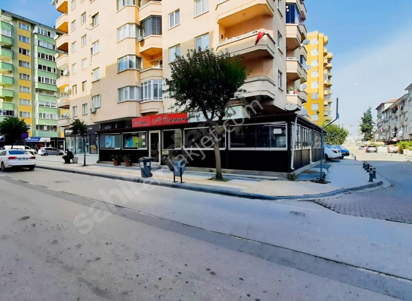 Yalova Merkez Süleymanbey Mh. Yola Cephe Satılık 2'li Dükkan - Görsel 2