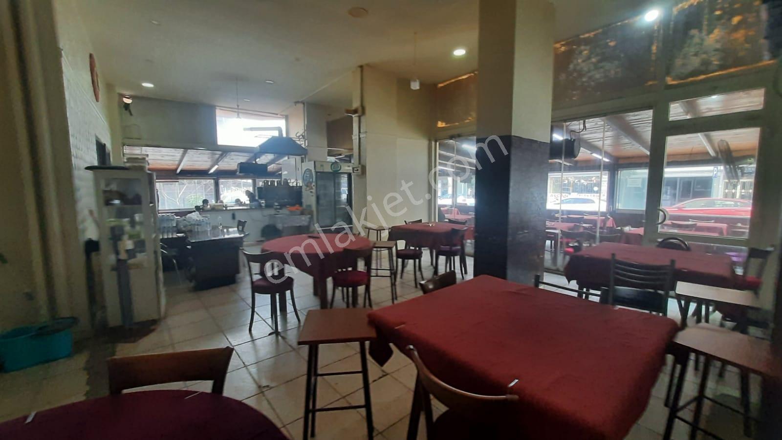 Yalova Merkez Süleymanbey Mh. Yola Cephe Satılık 2'li Dükkan - Görsel 13