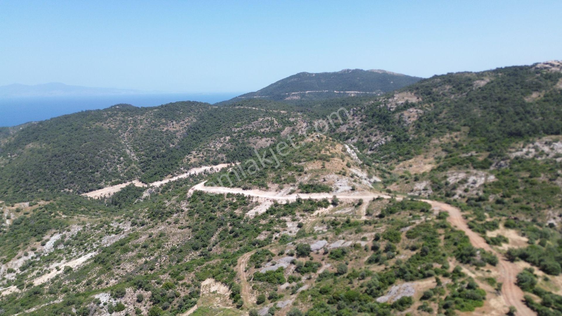 Turyap'tan Yenifoça Fatih'de Deniz Manzaralı Satılık Arsa - Görsel 3