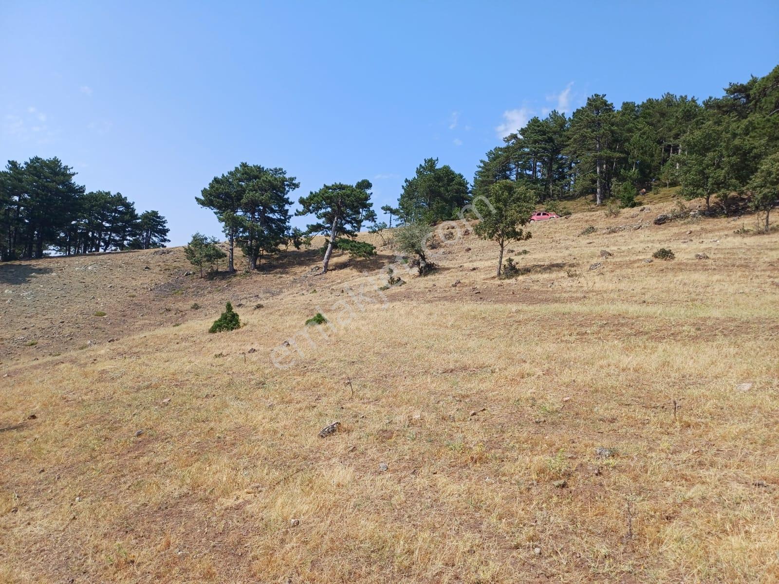 Sındırgı Umurlar 14,259 M2 Yerleşime Yakın Yolu Olan Arazi - Görsel 3