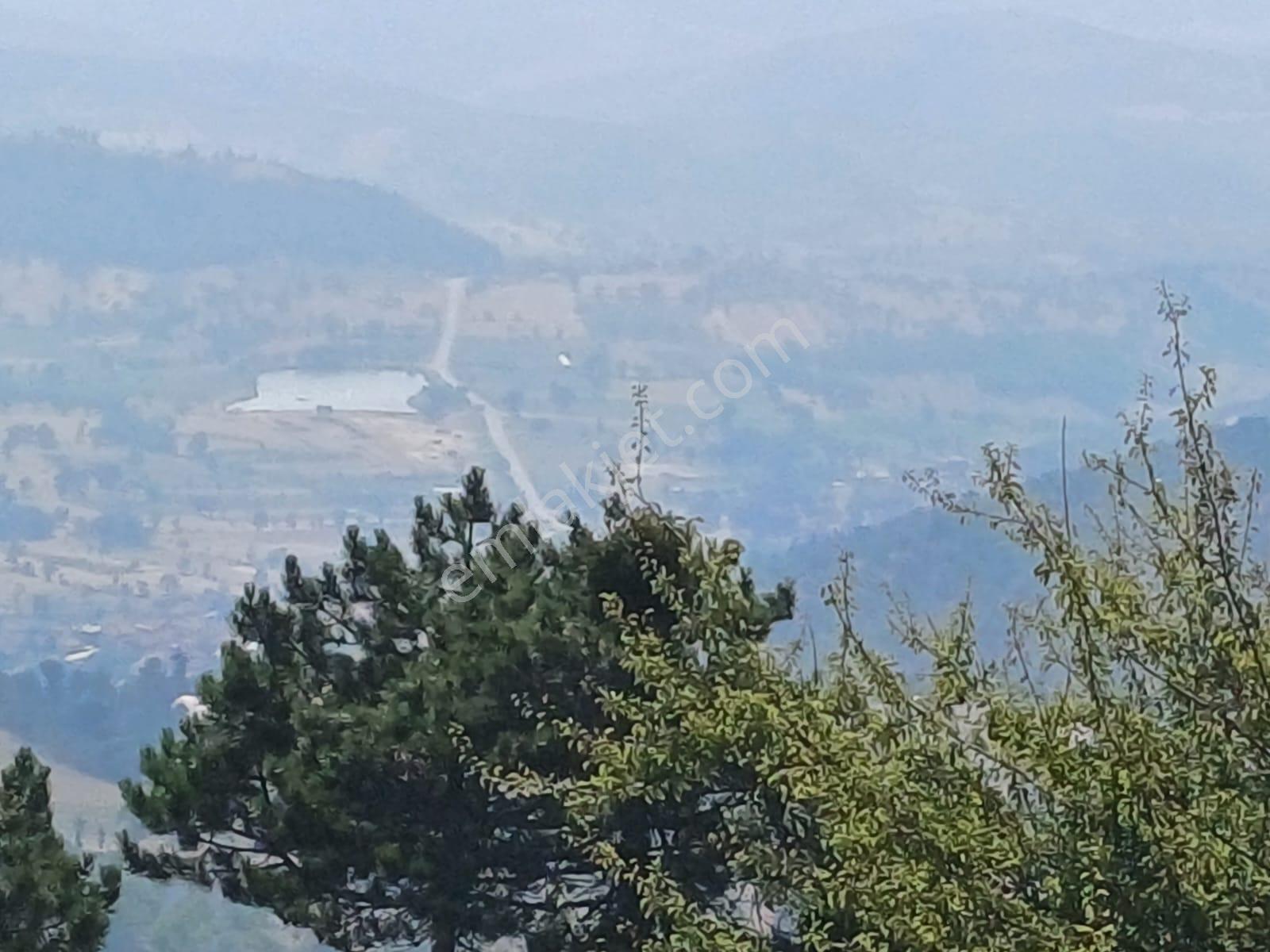 Sındırgı Umurlar 14,259 M2 Yerleşime Yakın Yolu Olan Arazi - Görsel 7