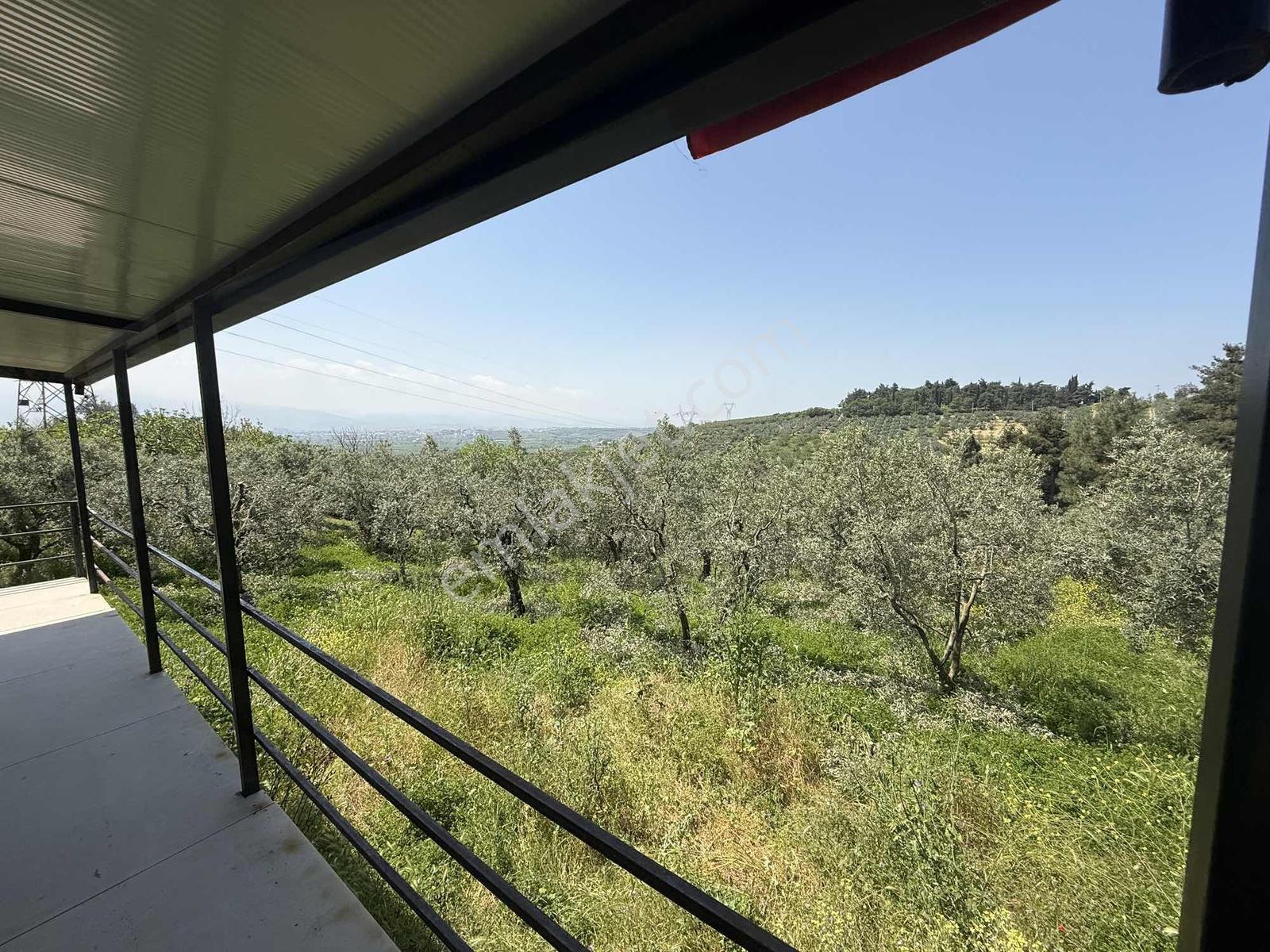 Çağlayan Köyde İçerisinde Hobi Evi Bulunan Satılık Arazi - Görsel 11