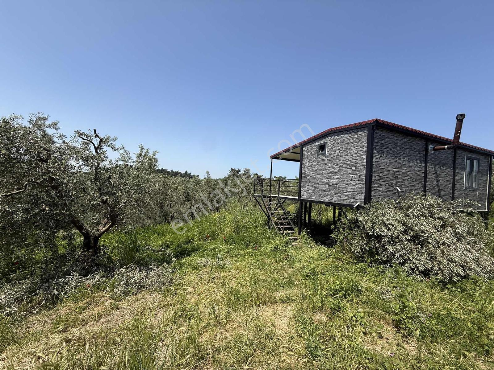 Çağlayan Köyde İçerisinde Hobi Evi Bulunan Satılık Arazi - Görsel 2