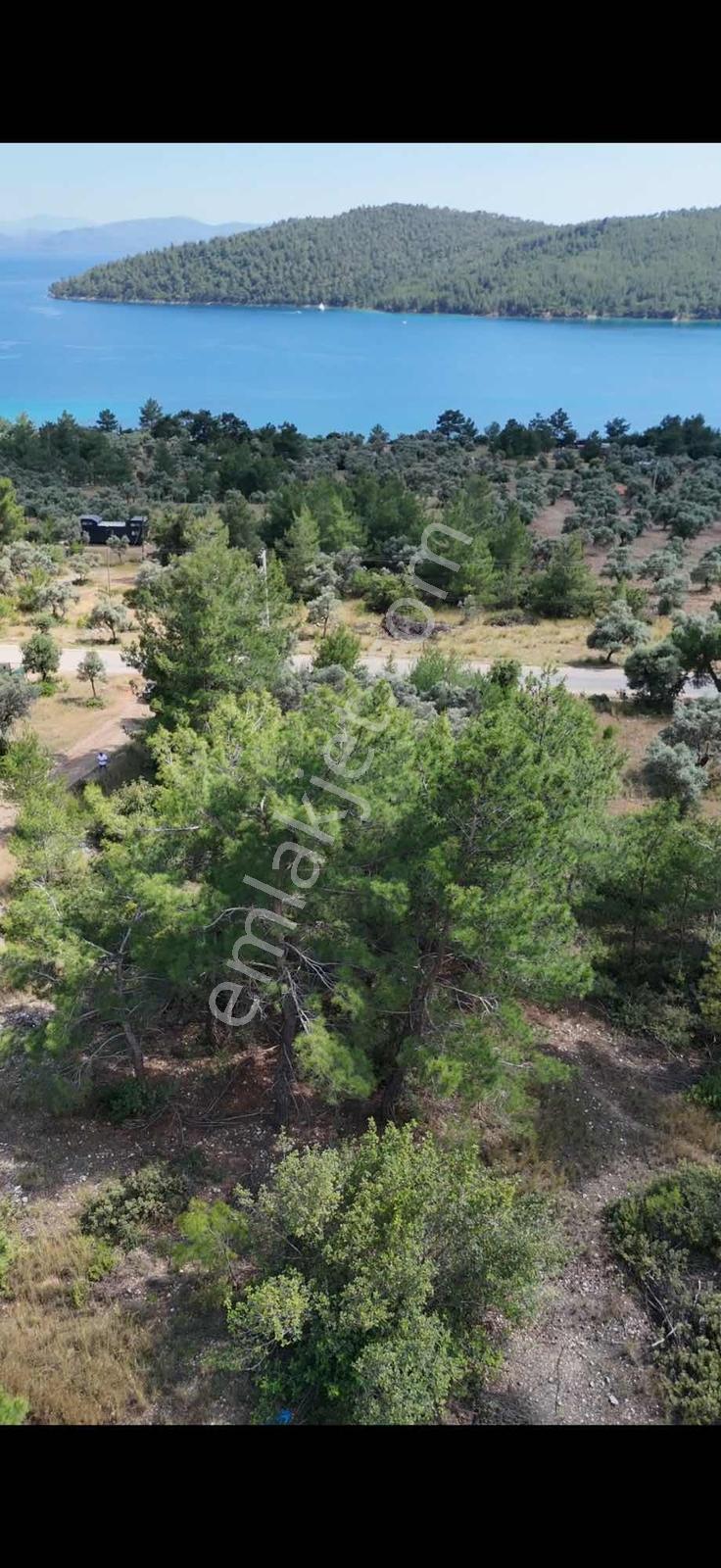 Muğla/akbük Koyunda Deniz Manzaralı Satılık Arazi