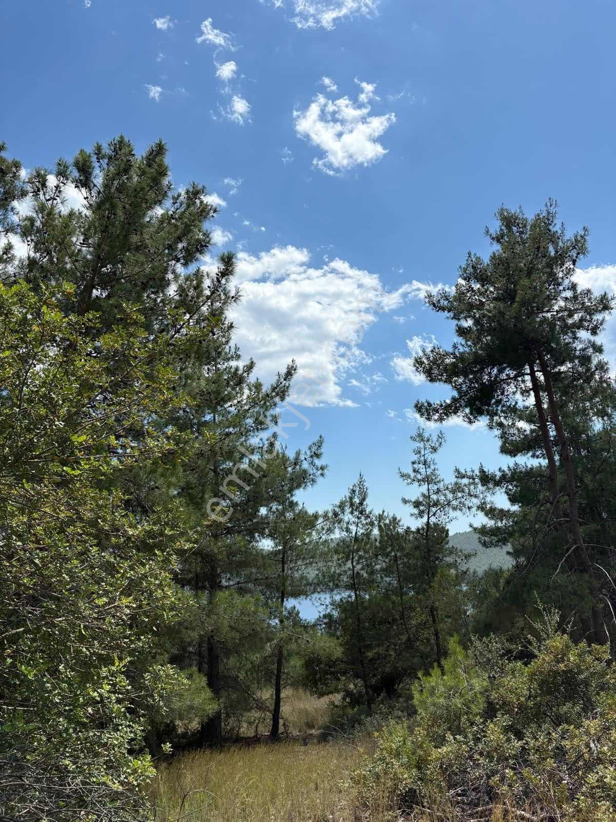 Muğla/akbük Koyunda Deniz Manzaralı Satılık Arazi - Görsel 13
