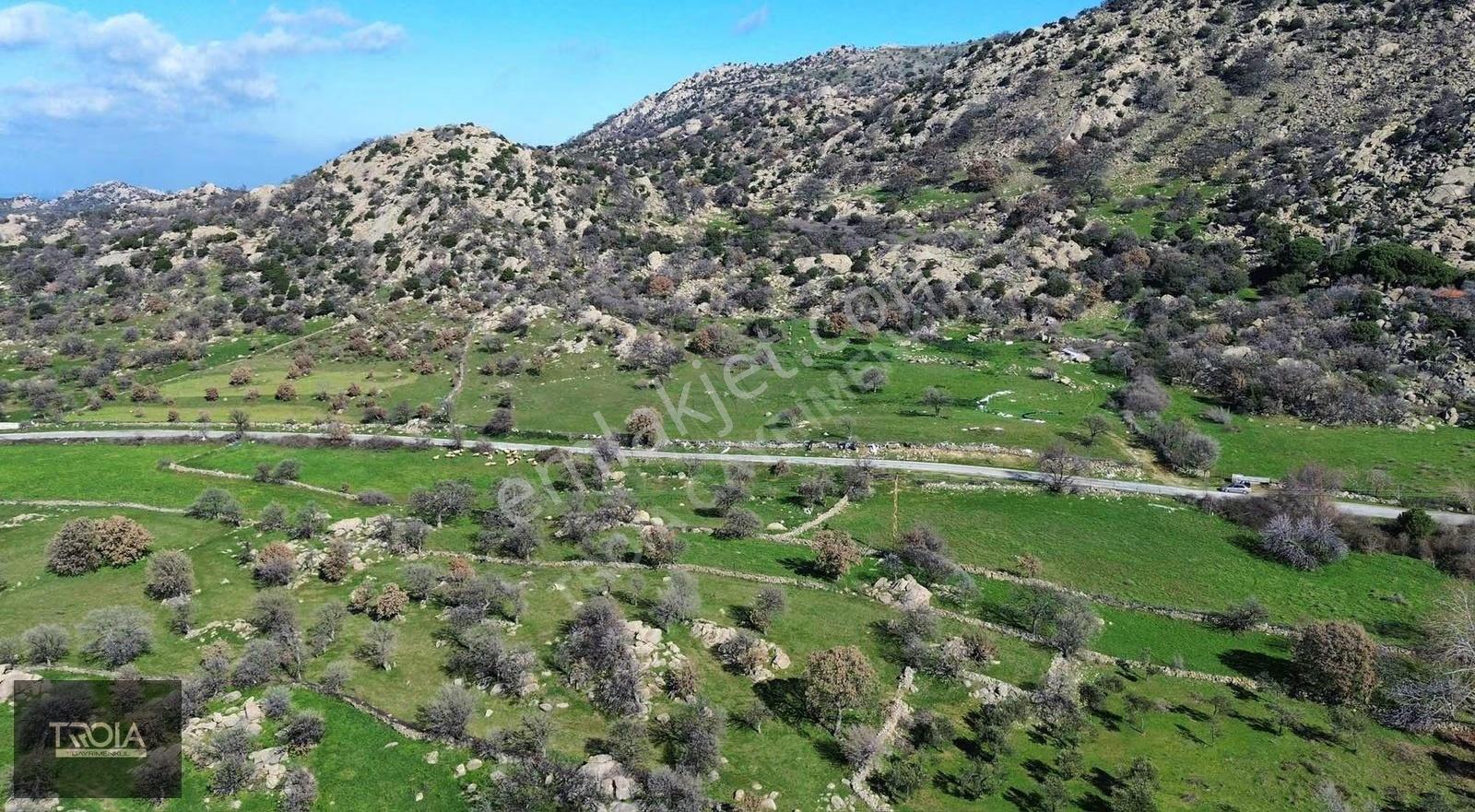 Bozcaada, Deniz Ve Gölet Manzaralı 35.400 M² Özel Konumda Arazi - Görsel 2