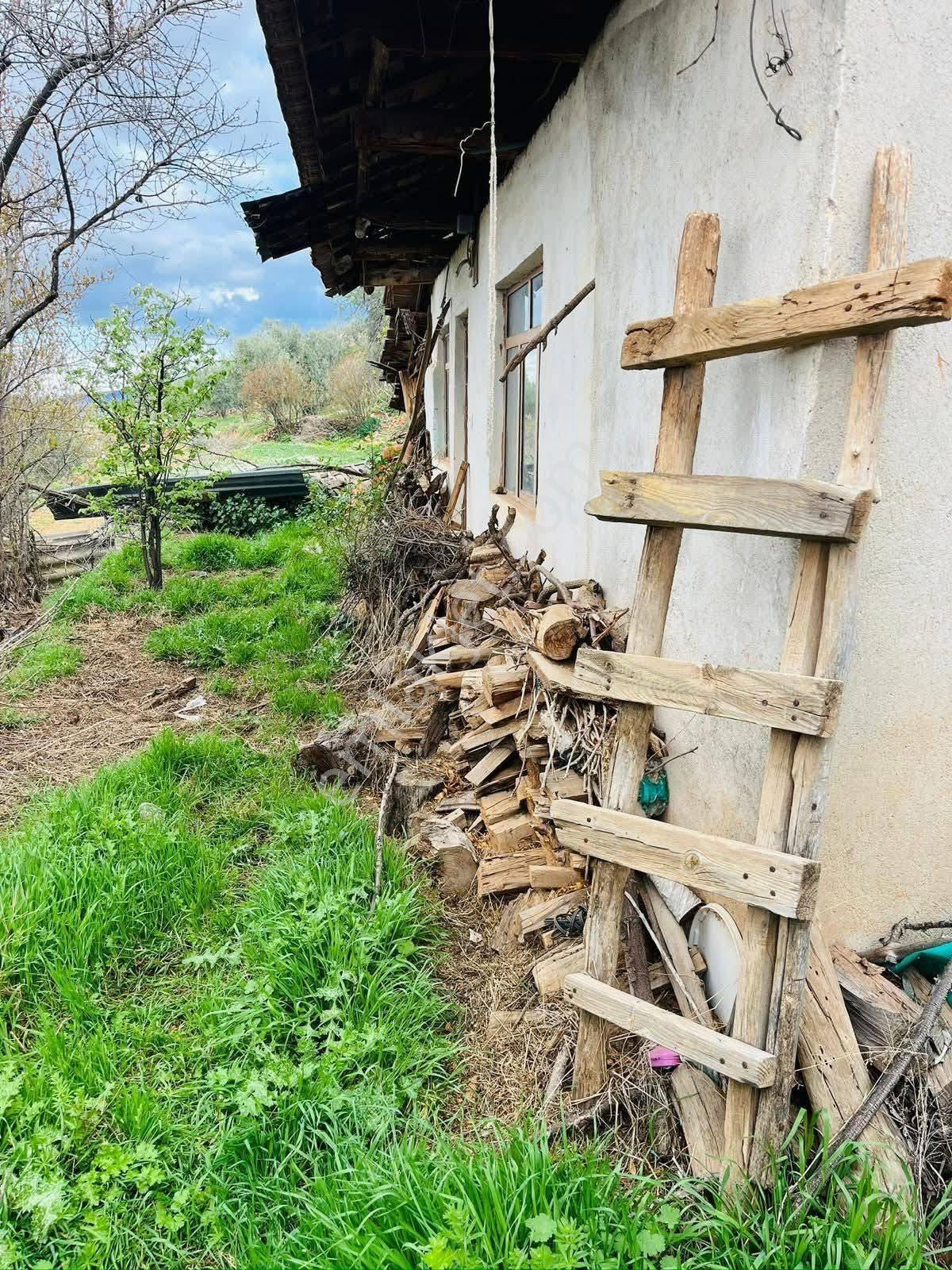 Doğa İçinde Manzaralı, Meyve Ağaçlı Satılık Müstakil Ev – 1.500.000 ₺ - Görsel 6
