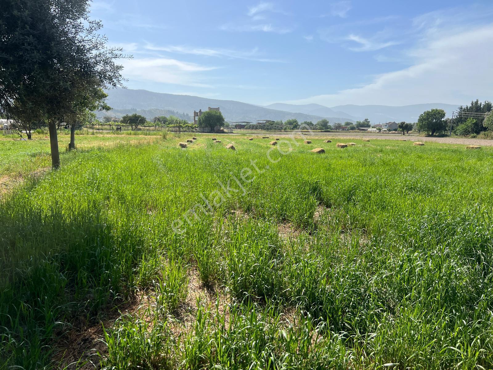 Milas Satılık İmarlı Arsa | Bahçeburun Villa İmarlı Arsa - Görsel 33