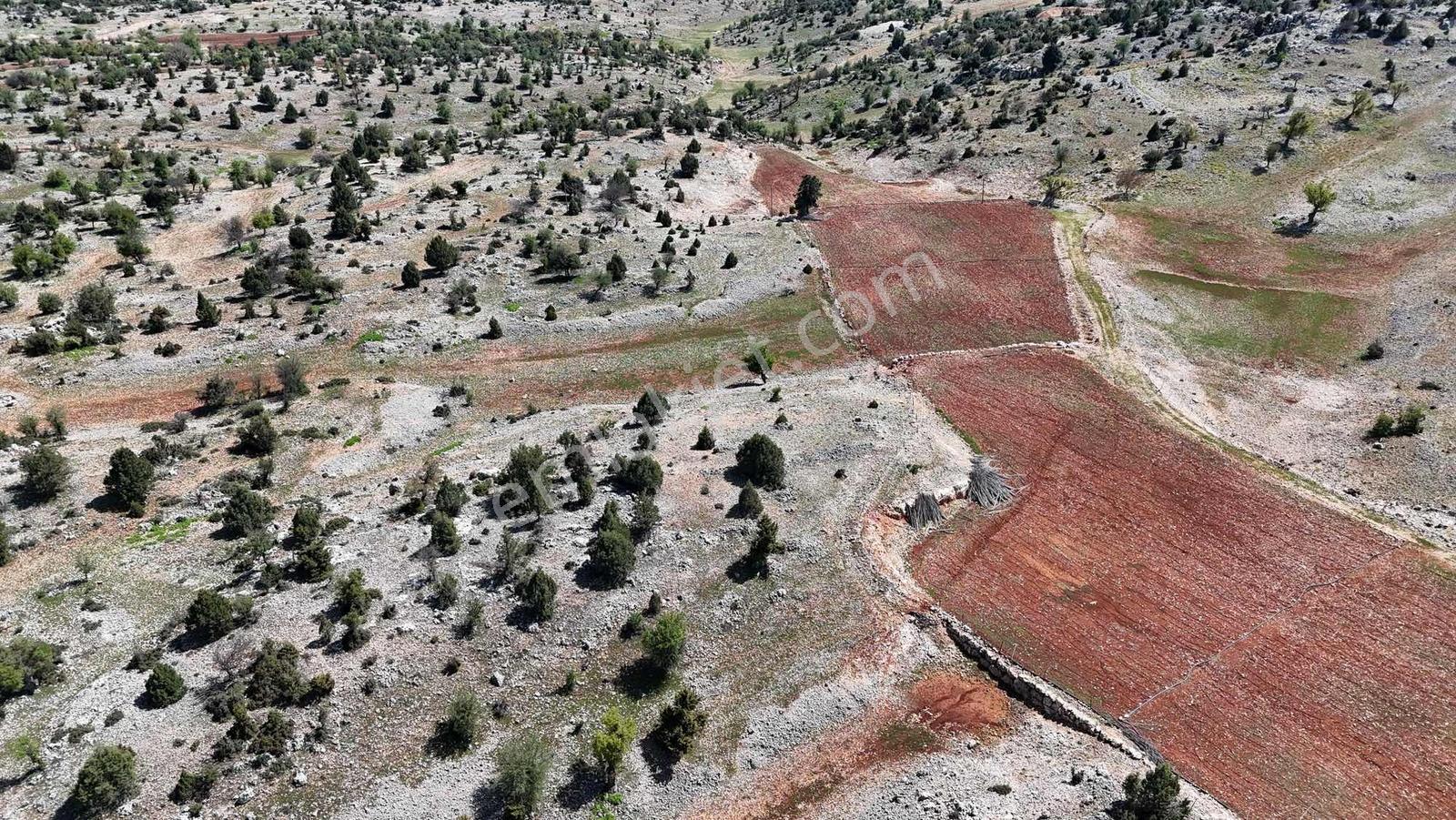 |ctn| Koramşalı Arkıt 613m2 Dublex Villalık Parsel - Görsel 2
