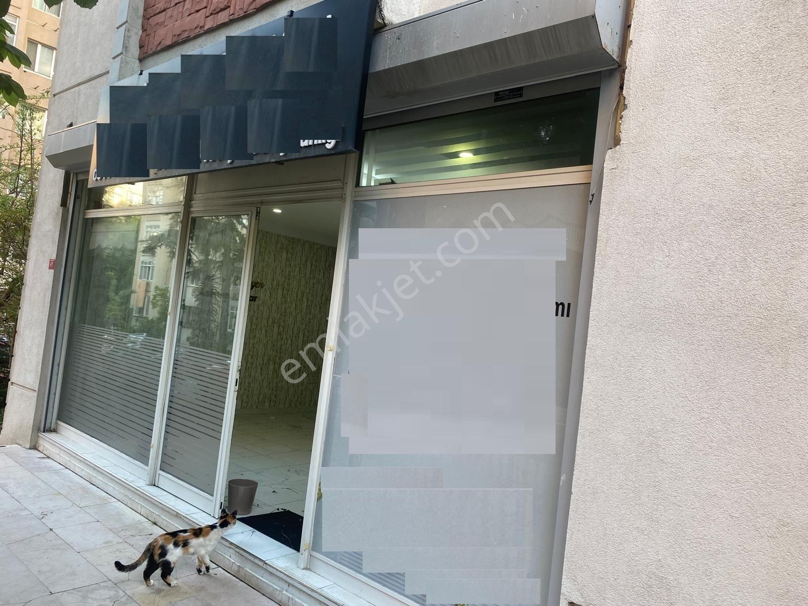 İstanbul Evlerinde Ferah Sokak İçinde Kiralık İşyeri Dükkan - Görsel 2