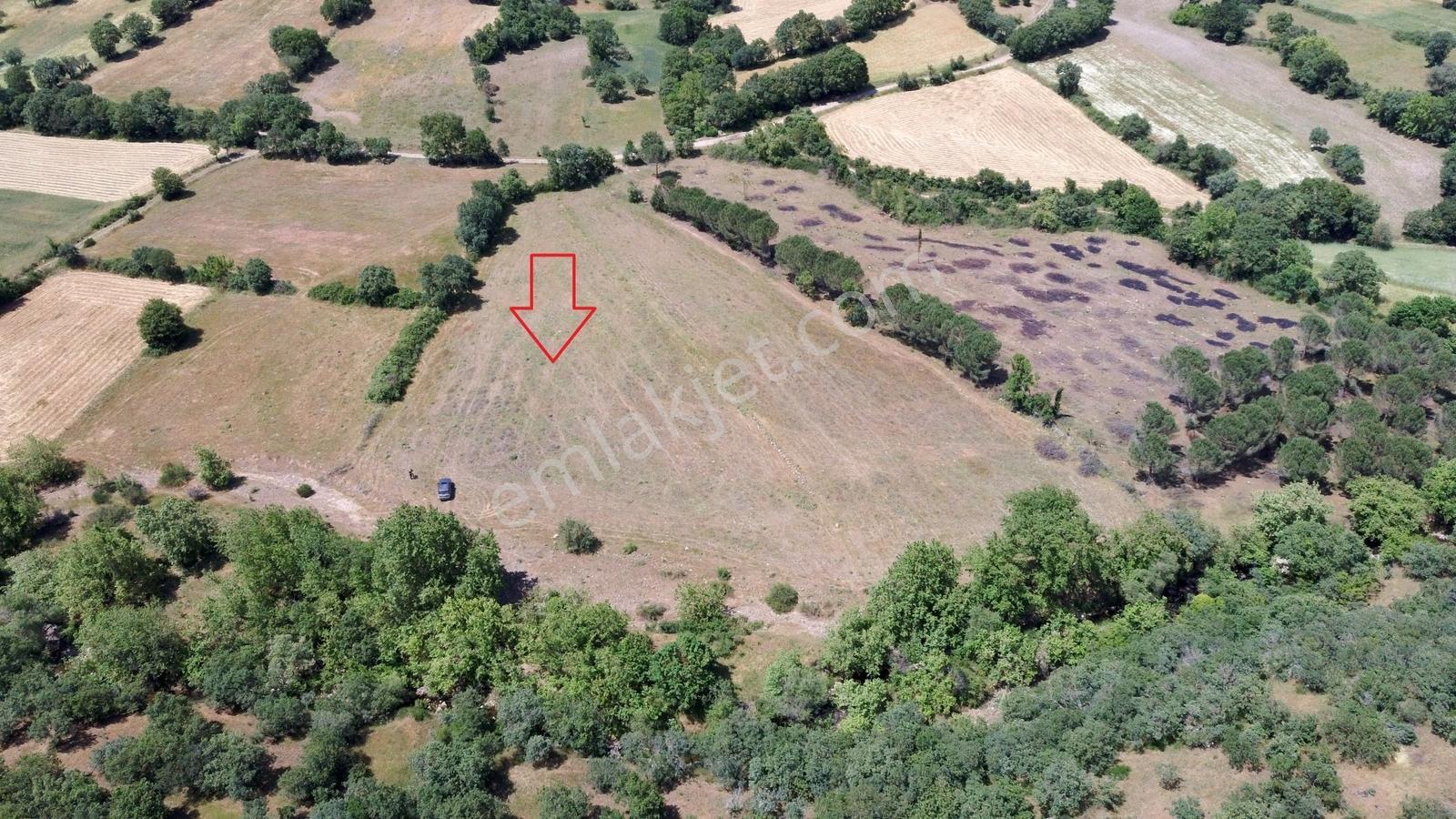 İvrindi'de Çay Kenarı 7200m2 Yolu Suyu Mevcut Düz Arazi - Görsel 4