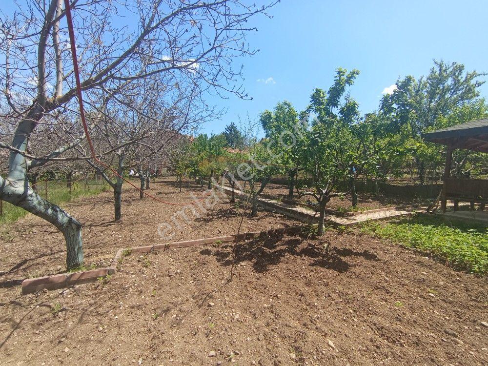 Güvenay - Çorum Üçtutlar Mahallesi Ayarık Bağları 4+1 Satılık Villa - Görsel 44