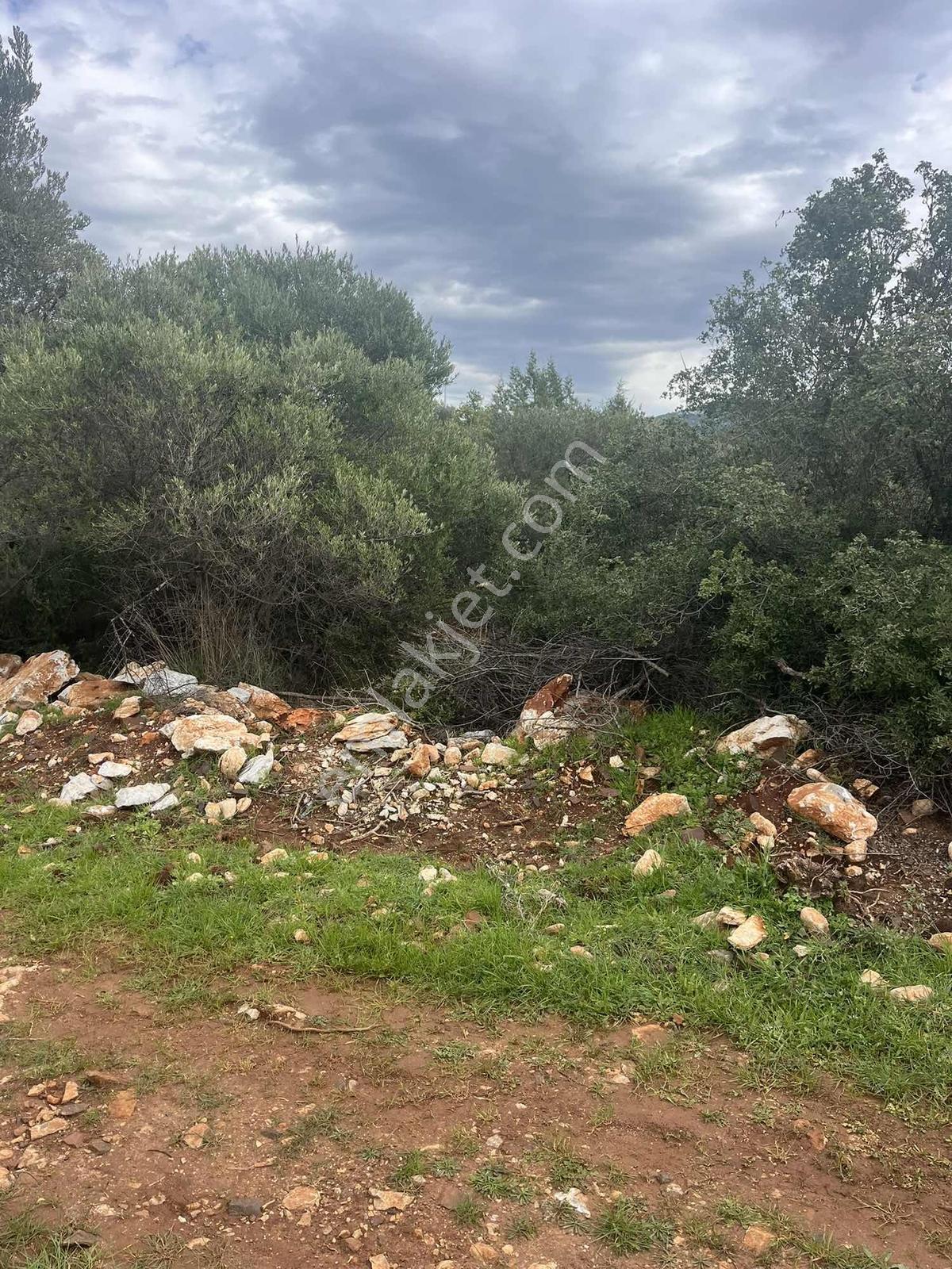 Didim Kardelen De Satılık 300 M2 Müstakil Arsa - Görsel 13