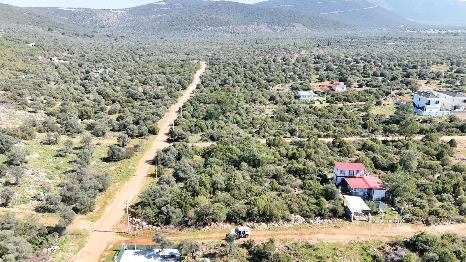 Didim Kardelen De Satılık 300 M2 Müstakil Arsa - Görsel 19